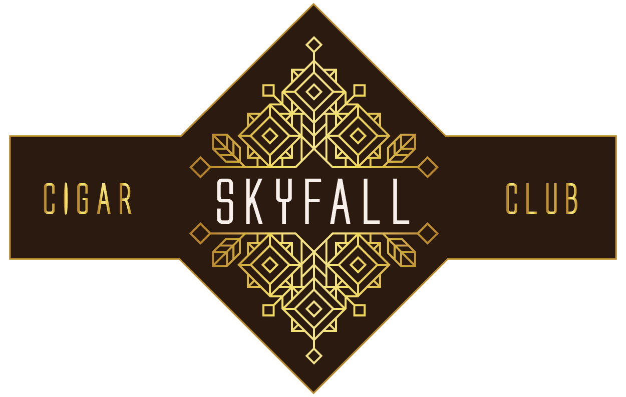 skyfall logo